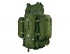 Plecak Wisport Raccoon 65 l olive